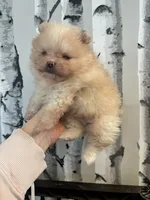 processed/3be6e29a-49f5-498a-b9a6-acdff667f60b/listing/a9ac6719-ceeb-4264-a013-32b8eee4abad/7021f884-3211-433e-b1f4-7431a2c7cfbb