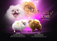 processed/3be6e29a-49f5-498a-b9a6-acdff667f60b/listing/a9ac6719-ceeb-4264-a013-32b8eee4abad/e423b41e-ce1d-4a7f-963f-4741e3793695