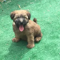 processed/3bebc787-cce3-45b0-b908-683739743285/facility/34eabad3-e2b2-4346-8b77-8a5d09cefa64