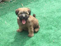 processed/3bebc787-cce3-45b0-b908-683739743285/facility/34eabad3-e2b2-4346-8b77-8a5d09cefa64