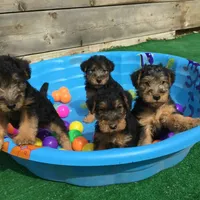 processed/3bebc787-cce3-45b0-b908-683739743285/facility/6e2bc998-f697-42a5-94d1-5e2d3ae94c2f