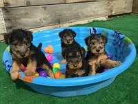 processed/3bebc787-cce3-45b0-b908-683739743285/facility/6e2bc998-f697-42a5-94d1-5e2d3ae94c2f