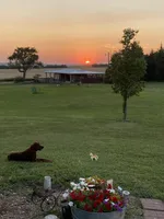 processed/3bebc787-cce3-45b0-b908-683739743285/facility/8ceb146c-3e9d-471f-8f72-a03904687454