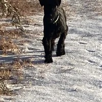 processed/3bebc787-cce3-45b0-b908-683739743285/facility/fb93c4fb-c0e4-4844-9869-2272707b9772