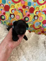 processed/3bebc787-cce3-45b0-b908-683739743285/listing/04c81a90-4550-413f-84e8-a804f833759a/159695ea-bbf2-43f3-9fe5-edaa4ab043b8