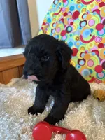 processed/3bebc787-cce3-45b0-b908-683739743285/listing/04c81a90-4550-413f-84e8-a804f833759a/26a0fc7f-9e36-43c2-9964-b7ef272447de