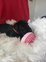 processed/3bebc787-cce3-45b0-b908-683739743285/listing/04c81a90-4550-413f-84e8-a804f833759a/4864875e-2727-4dd3-bd85-14756b95d536