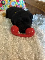 processed/3bebc787-cce3-45b0-b908-683739743285/listing/04c81a90-4550-413f-84e8-a804f833759a/6c7eb860-01a7-4f8b-8aa1-d838fa6eb111