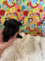 processed/3bebc787-cce3-45b0-b908-683739743285/listing/04c81a90-4550-413f-84e8-a804f833759a/ac0f1a52-4093-420b-9a22-bef47f7553d3