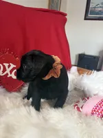 processed/3bebc787-cce3-45b0-b908-683739743285/listing/04c81a90-4550-413f-84e8-a804f833759a/df5053e1-d5b0-4558-a2d0-54b744a070e4