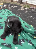 processed/3bebc787-cce3-45b0-b908-683739743285/listing/35ea8645-2f23-413c-8711-9250d6ddf454/20d43839-0dc3-461c-aacc-5b89e4f65d1c