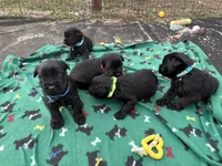 processed/3bebc787-cce3-45b0-b908-683739743285/listing/35ea8645-2f23-413c-8711-9250d6ddf454/3e48df00-b49a-43b4-b1d7-41b8d389d79b