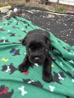 processed/3bebc787-cce3-45b0-b908-683739743285/listing/35ea8645-2f23-413c-8711-9250d6ddf454/aa56ba1b-2205-41dd-93f9-f874da85de4e