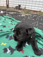 processed/3bebc787-cce3-45b0-b908-683739743285/listing/35ea8645-2f23-413c-8711-9250d6ddf454/bb3576d7-9ffe-446c-8532-0cf6254e084e