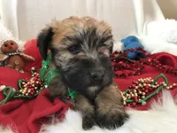 processed/3bebc787-cce3-45b0-b908-683739743285/listing/767f4e13-73ad-457e-8023-97e03ac45e73/22d12d7c-5f82-4b3a-89ea-945fc8770d6e