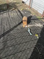 processed/3bebc787-cce3-45b0-b908-683739743285/listing/767f4e13-73ad-457e-8023-97e03ac45e73/24611cb6-8dd1-4480-b34e-ab40b6c5eb59