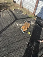 processed/3bebc787-cce3-45b0-b908-683739743285/listing/767f4e13-73ad-457e-8023-97e03ac45e73/376e8ebf-b954-4f04-a3c1-6241bc39c195