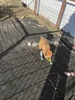 processed/3bebc787-cce3-45b0-b908-683739743285/listing/767f4e13-73ad-457e-8023-97e03ac45e73/45936e4f-61be-4566-8bef-67a2db15cf02