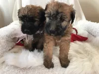 processed/3bebc787-cce3-45b0-b908-683739743285/listing/767f4e13-73ad-457e-8023-97e03ac45e73/638b847c-a6f0-4c23-a8db-aba31904da37