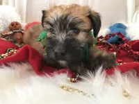 processed/3bebc787-cce3-45b0-b908-683739743285/listing/767f4e13-73ad-457e-8023-97e03ac45e73/f21301d2-993b-4ea0-b07c-bde1e2ca9864