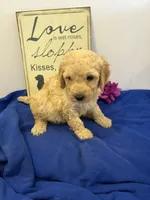 processed/3bebc787-cce3-45b0-b908-683739743285/listing/b76d3067-58f5-44b3-8709-e834727ecc0f/2a24d8b1-e92c-4734-aa5e-0df39080424b