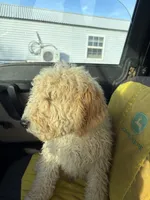 processed/3bebc787-cce3-45b0-b908-683739743285/listing/b76d3067-58f5-44b3-8709-e834727ecc0f/4793b271-bd7f-489b-8e70-4e5624d4a0e4