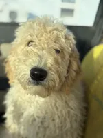 processed/3bebc787-cce3-45b0-b908-683739743285/listing/b76d3067-58f5-44b3-8709-e834727ecc0f/81efcb20-c625-4dac-9a31-942448ce8347