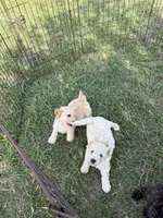 processed/3bebc787-cce3-45b0-b908-683739743285/listing/b76d3067-58f5-44b3-8709-e834727ecc0f/aef7a36a-0783-4dd2-aab1-a3ac9defe0bc