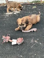 processed/3bebc787-cce3-45b0-b908-683739743285/listing/f2e7ef7b-dc36-4b09-9a97-7e6281d1ae47/2390d52d-1b82-45fd-98d0-cac8058cc31f