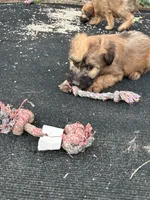 processed/3bebc787-cce3-45b0-b908-683739743285/listing/f2e7ef7b-dc36-4b09-9a97-7e6281d1ae47/bc682495-8157-4107-85b5-5c4b3037f7db