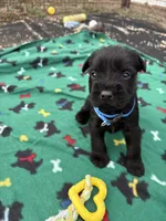 processed/3bebc787-cce3-45b0-b908-683739743285/listing/f49d3a79-179d-48e1-90a9-dd7ca8a02164/1ecb6c1a-4ac6-4860-afc4-27fab9aaedd0