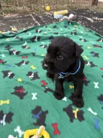 processed/3bebc787-cce3-45b0-b908-683739743285/listing/f49d3a79-179d-48e1-90a9-dd7ca8a02164/93bfcdca-1e1b-431c-9df7-d97377f3f05f