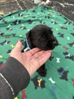 processed/3bebc787-cce3-45b0-b908-683739743285/listing/f49d3a79-179d-48e1-90a9-dd7ca8a02164/9de0d80c-95d3-4503-a30c-247126dfdc3c