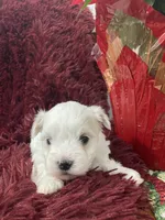 processed/3bee7cfb-8980-4ca8-9c1c-70dc913e9bd5/listing/2cdaef4b-ecf4-47bf-9cac-33bdd3419056/5660383d-5c7b-40e5-855a-43892321e89e