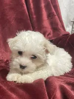 processed/3bee7cfb-8980-4ca8-9c1c-70dc913e9bd5/listing/2cdaef4b-ecf4-47bf-9cac-33bdd3419056/ab24e26a-c730-43e0-bbb2-98b6f7512e2a