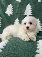 processed/3bee7cfb-8980-4ca8-9c1c-70dc913e9bd5/listing/2cdaef4b-ecf4-47bf-9cac-33bdd3419056/d30cb9a3-c624-4377-907b-ec4cfaa5c2ee