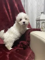 processed/3bee7cfb-8980-4ca8-9c1c-70dc913e9bd5/listing/5a632ccb-33e6-4e9f-a38f-09cf94d70888/2478664a-06ef-4426-b065-6b3a496be1af