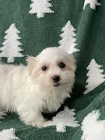 processed/3bee7cfb-8980-4ca8-9c1c-70dc913e9bd5/listing/5a632ccb-33e6-4e9f-a38f-09cf94d70888/e7b863cb-739b-47e8-9553-444946203bc7