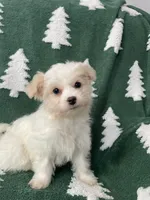 processed/3bee7cfb-8980-4ca8-9c1c-70dc913e9bd5/listing/5d315b00-5724-4125-8469-c9e979320d30/38353573-4417-4b39-a33f-2692d03bdd60