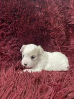 processed/3bee7cfb-8980-4ca8-9c1c-70dc913e9bd5/listing/5d315b00-5724-4125-8469-c9e979320d30/984f9b3f-6b8d-4ed4-9c2f-7463d28f8edc