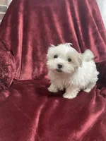 processed/3bee7cfb-8980-4ca8-9c1c-70dc913e9bd5/listing/5d315b00-5724-4125-8469-c9e979320d30/c718eb54-fbf0-435d-8534-84beaba8798a