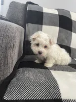 processed/3bee7cfb-8980-4ca8-9c1c-70dc913e9bd5/listing/ea7a8416-a84a-4cda-93ef-8bd61d08f501/12917627-fe50-4b52-bf62-00512f32e334