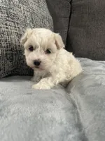 processed/3bee7cfb-8980-4ca8-9c1c-70dc913e9bd5/listing/ea7a8416-a84a-4cda-93ef-8bd61d08f501/70cc1e86-83b2-4016-947b-d16befda75e0