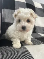 processed/3bee7cfb-8980-4ca8-9c1c-70dc913e9bd5/listing/ea7a8416-a84a-4cda-93ef-8bd61d08f501/ed48b1e7-8d7f-4ca0-a3df-c6d6f8501a2d