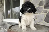 processed/3bf165e2-0b24-428f-9cb0-75df13e380d4/listing/221cfcc4-d267-4990-a792-8c424ab11592/40f76e0e-87e5-4b21-b00b-95c6662efa0d