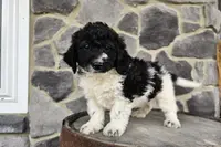 processed/3bf165e2-0b24-428f-9cb0-75df13e380d4/listing/221cfcc4-d267-4990-a792-8c424ab11592/60f8433a-0c59-457a-b1cc-093fd99b63fa