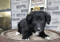 processed/3bf165e2-0b24-428f-9cb0-75df13e380d4/listing/2b2fe34d-730b-4301-b817-2a16faa4382d/529be310-4ab4-42cc-bbe7-06a230b4cf2f