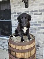 processed/3bf165e2-0b24-428f-9cb0-75df13e380d4/listing/2b2fe34d-730b-4301-b817-2a16faa4382d/c37ce92f-0abe-42c2-96fd-549dfedb990a