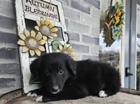 processed/3bf165e2-0b24-428f-9cb0-75df13e380d4/listing/2b2fe34d-730b-4301-b817-2a16faa4382d/c64e43db-0373-479d-9297-cfdecdaed130