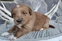 processed/3bf165e2-0b24-428f-9cb0-75df13e380d4/listing/33417431-1edb-445c-8222-31e1b9eba8b5/7e4b2d53-15e0-4702-a30c-f47075278372